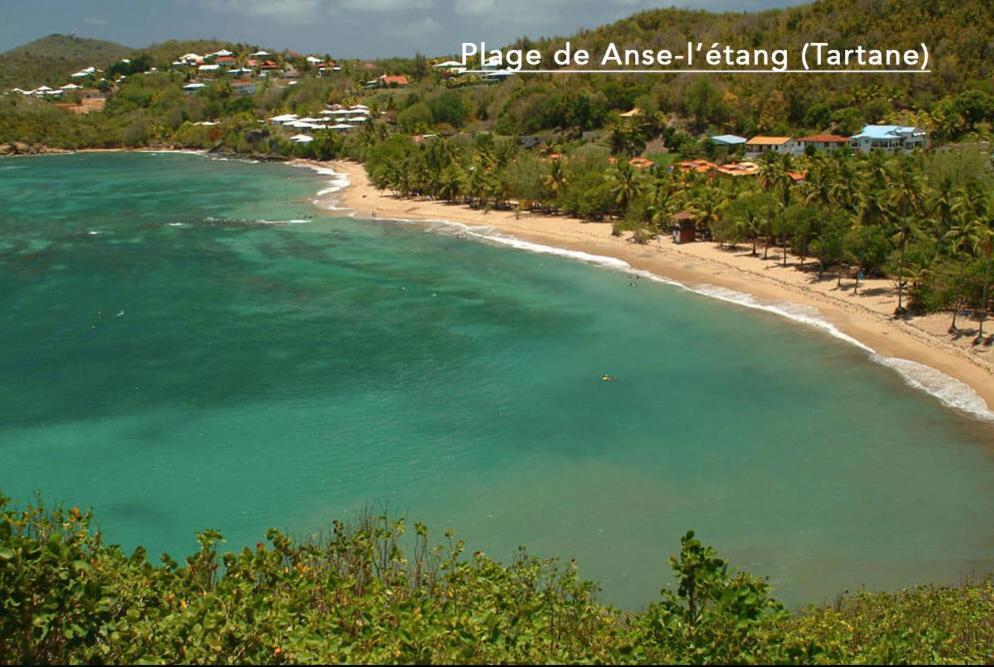 F3 Hibiscus - Piscine Chauffee - Vue Mer - 9 Min De La Plage - Ti Zwezo Paradi La Trinité Eksteriør bilde