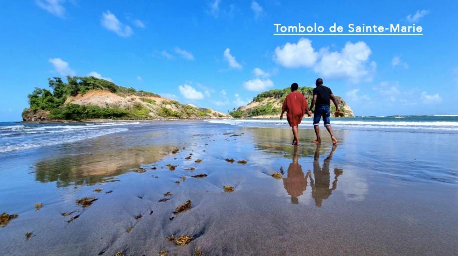F3 Hibiscus - Piscine Chauffee - Vue Mer - 9 Min De La Plage - Ti Zwezo Paradi La Trinité Eksteriør bilde