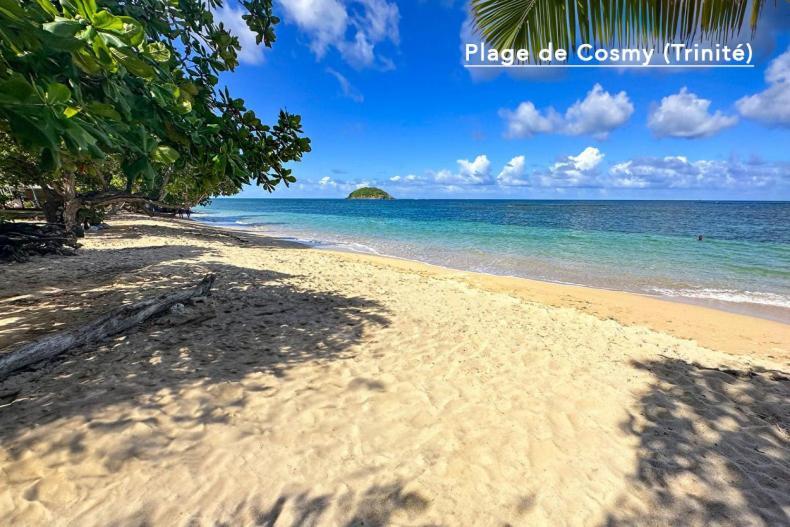 F3 Hibiscus - Piscine Chauffee - Vue Mer - 9 Min De La Plage - Ti Zwezo Paradi La Trinité Eksteriør bilde