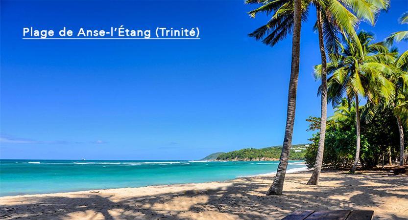 F3 Hibiscus - Piscine Chauffee - Vue Mer - 9 Min De La Plage - Ti Zwezo Paradi La Trinité Eksteriør bilde