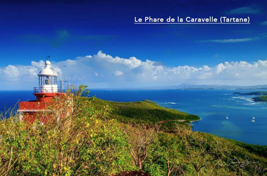 F3 Hibiscus - Piscine Chauffee - Vue Mer - 9 Min De La Plage - Ti Zwezo Paradi La Trinité Eksteriør bilde