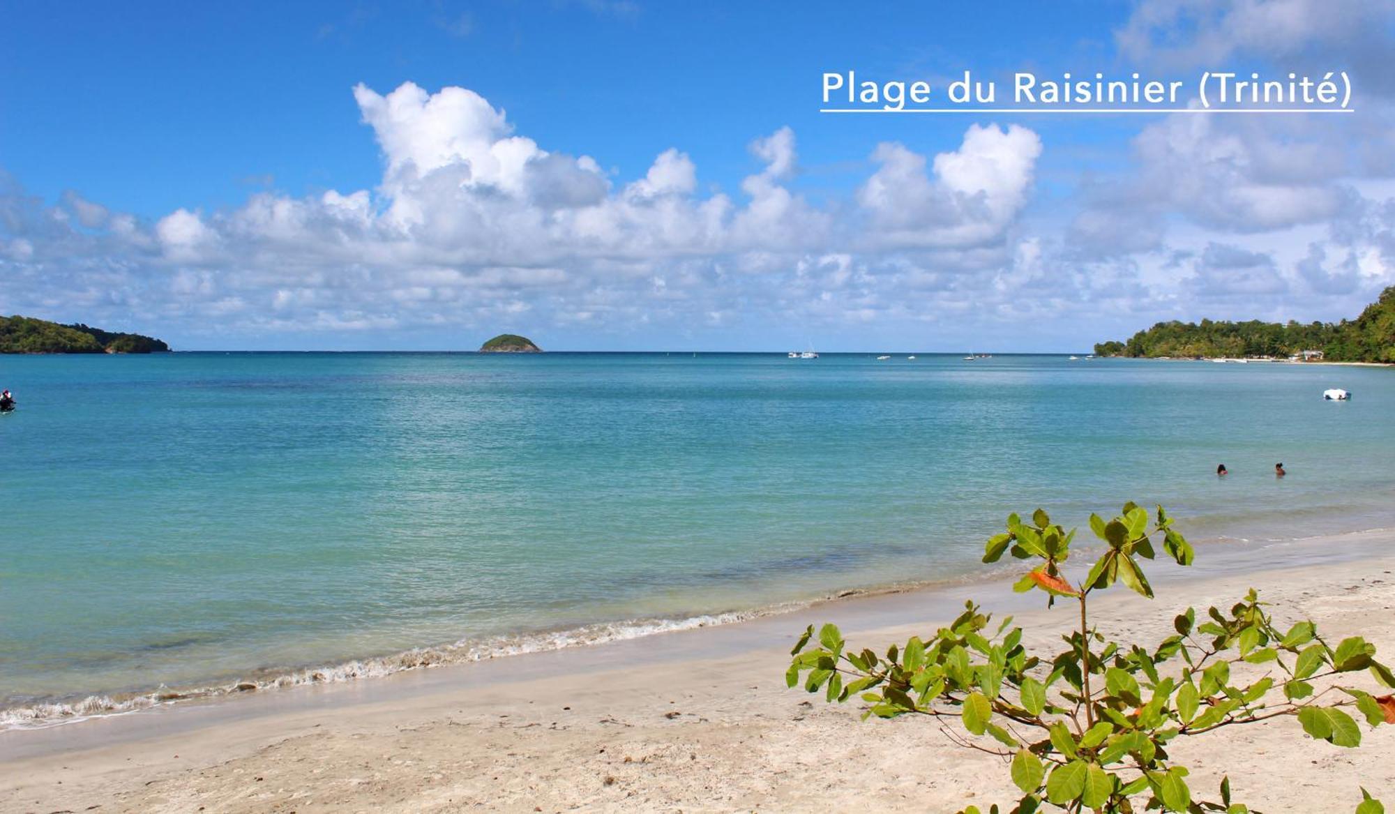 F3 Hibiscus - Piscine Chauffee - Vue Mer - 9 Min De La Plage - Ti Zwezo Paradi La Trinité Eksteriør bilde